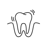 Animated tooth instead in gum tissue representing knocked out tooth